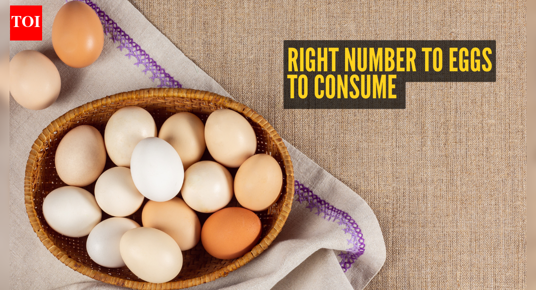 How many eggs should one safely eat in a day to get maximum protein