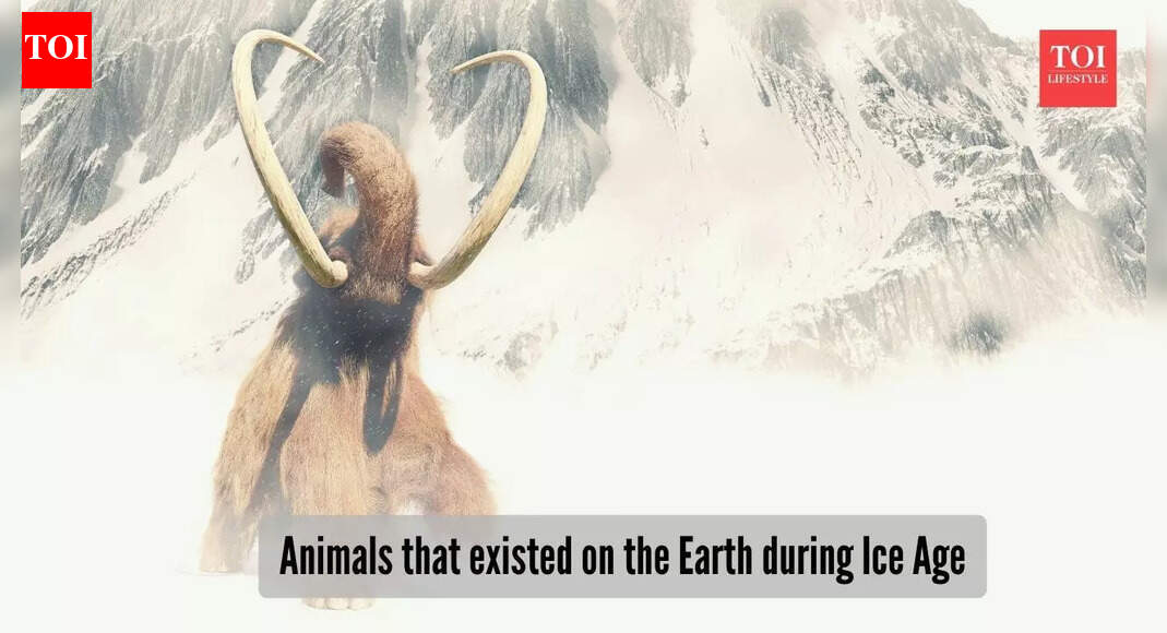 ​5 giant animals that roamed the Earth during the Ice Age​