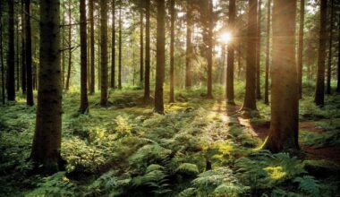 They Send Messages Via The Air