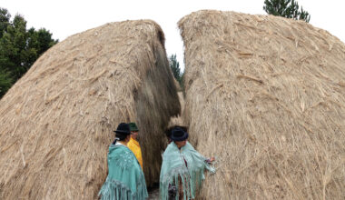 Architecture in Ecuador: 16 Projects Rooted in Territory, Craft, and Collective Practice