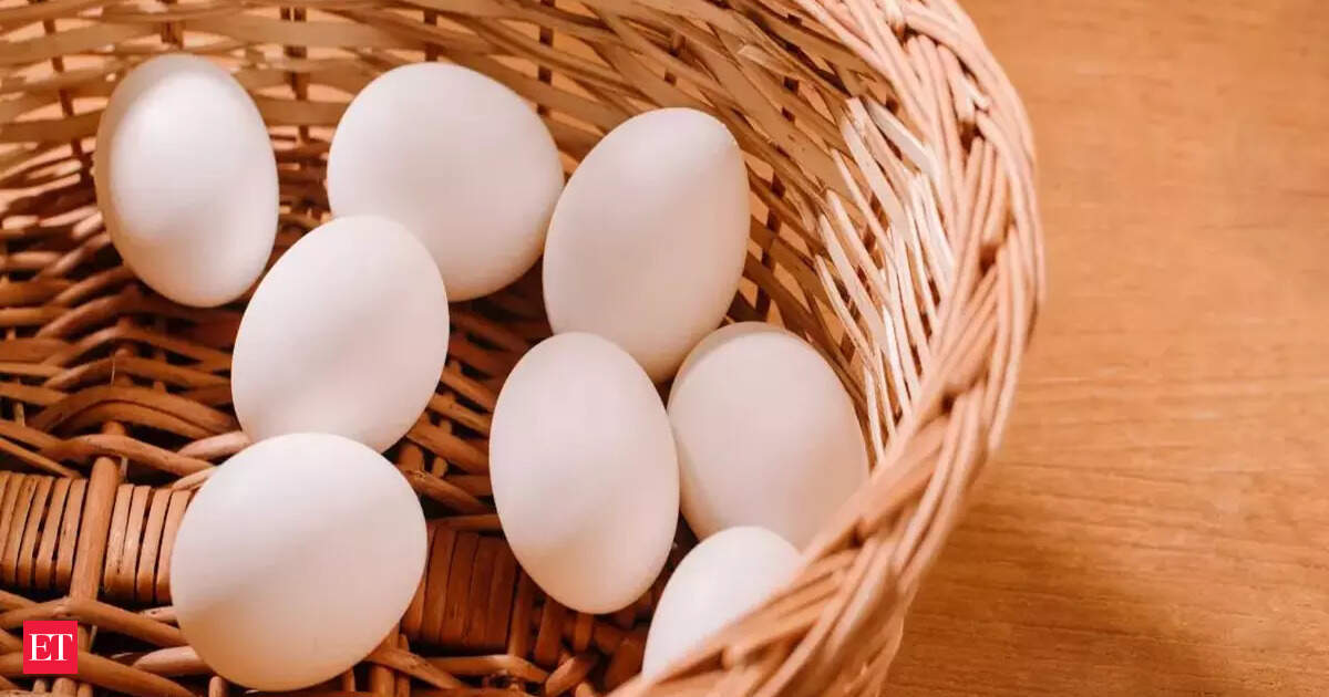 Eggs, tofu or chicken? Harvard-trained gut doctor Dr Sethi ranks ten most powerful protein foods you must include in your diet