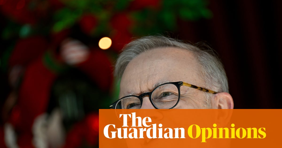 Albanese is taking away social media for children but hanging out mistletoe for AI. It’s magical thinking | Peter Lewis