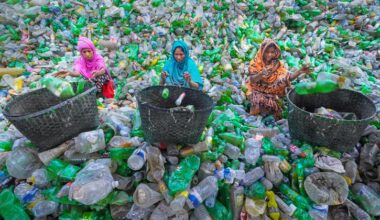 A sustainable future requires new thinking: UN environment report