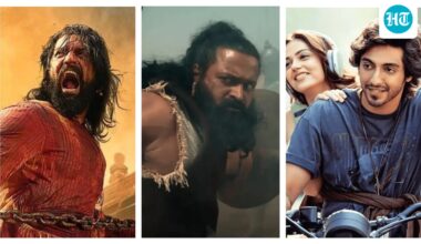 Saiyaara, Chhaava, Kantara or Raid 2: IMDb reveals its most popular movie of 2025