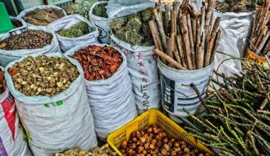 Traditional medicine is now a global reality: WHO