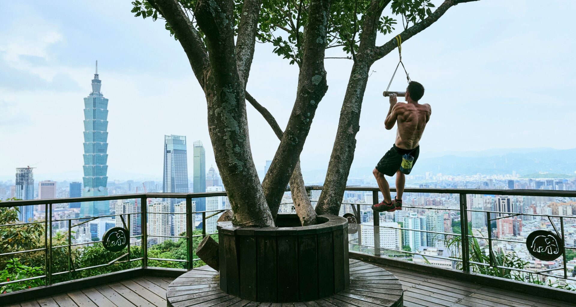 Honnold will ascend the building in January 2026