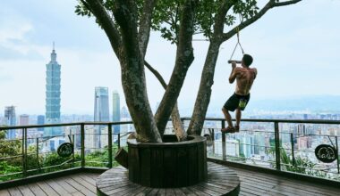 Honnold will ascend the building in January 2026