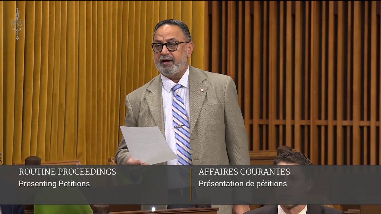 An MP speaks at the House of Commons in Ottawa.