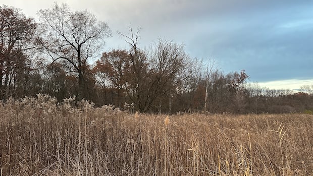Parks Canada won't take over land for Ojibway National Urban Park