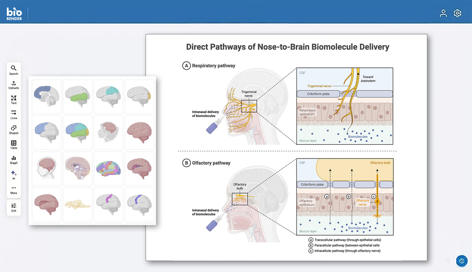 forbes-article-graphic_higher res