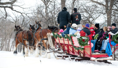 Dakota Carriage Company, North Dakota, Travel, snow