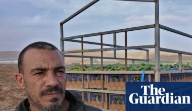 New Israeli barrier will slice through precious West Bank farmland | West Bank