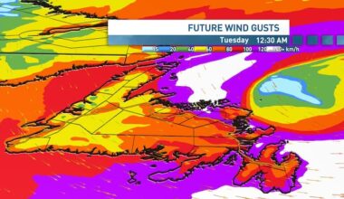 Winter system could bring more snow, hurricane-force gusts to parts of N.L.