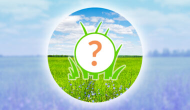 Pokémon GO Spotlight Hour for Tuesday, December 16th, 2025 – Nintendo Wire