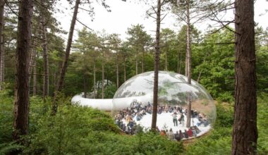 Converging Architectural Trends in 2025: Circularity, Biomaterials, and Carbon-Conscious Design