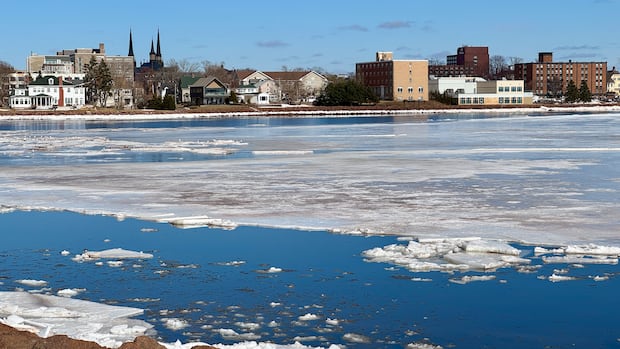 New tool allows Charlottetown residents to track city’s progress on climate action plan