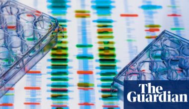 The Divided Mind by Edward Bullmore review – do we now know what causes schizophrenia? | Science and nature books