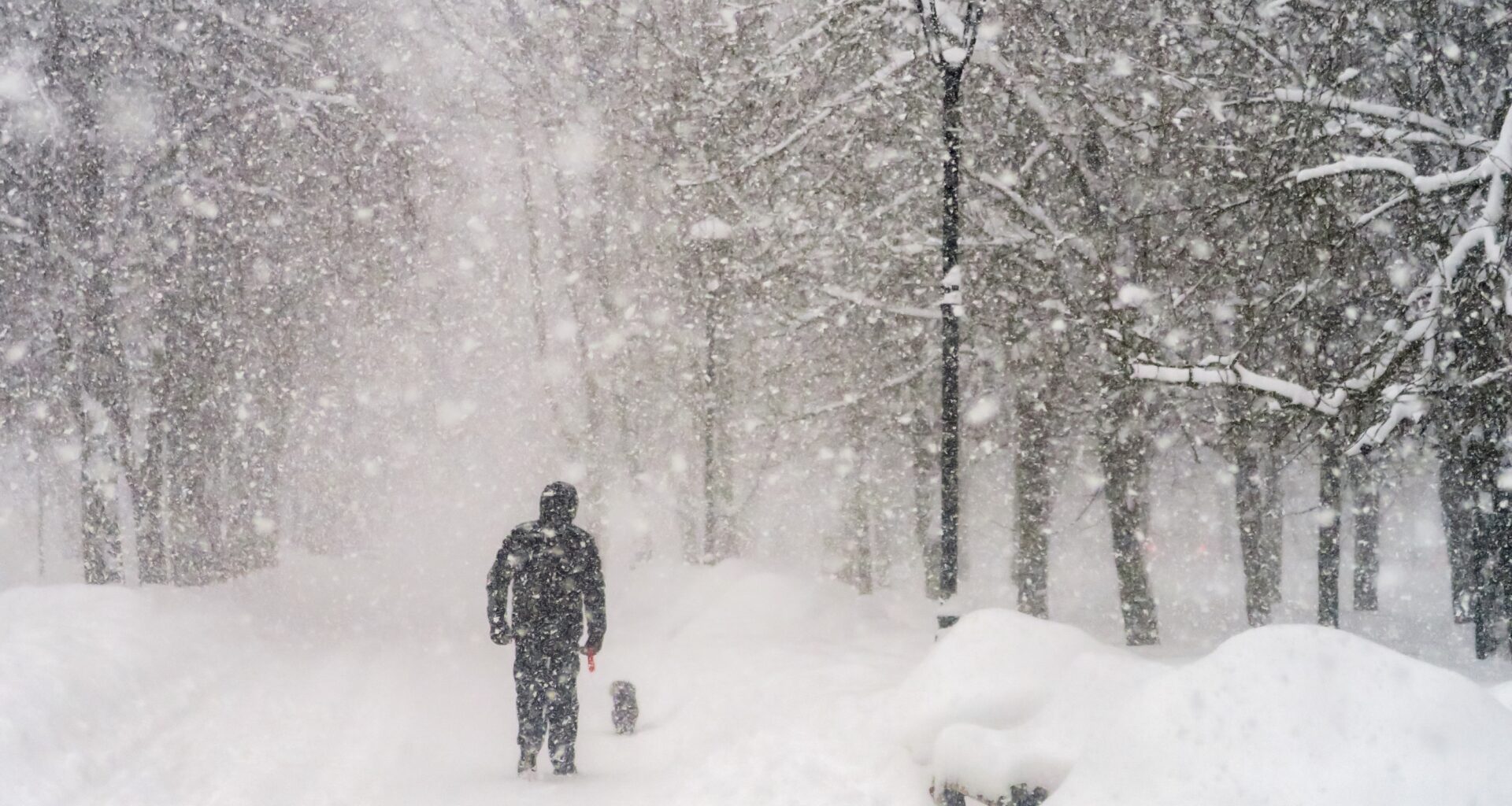 Massive Winter Storm Slams Canada Bringing 40 CM Snow, Rain and Chaos to Quebec