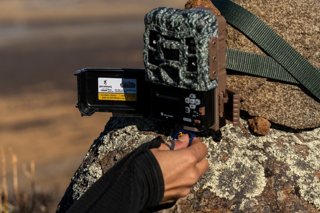Solange setting camera traps to better understand wild pumas.