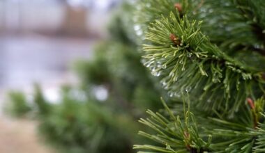Rain, wind warnings in western Quebec