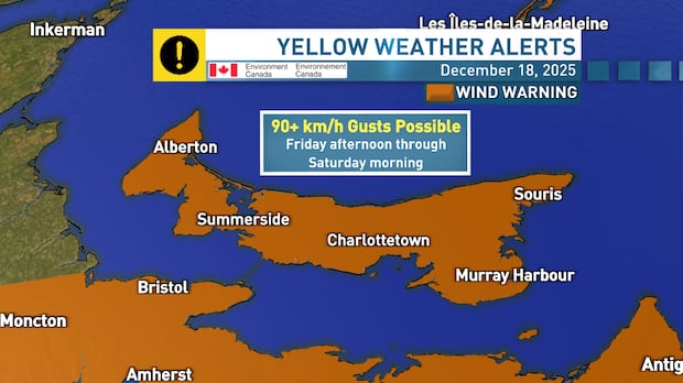Weekend wind warning in effect for P.E.I., with peak gusts of 100 km/h possible