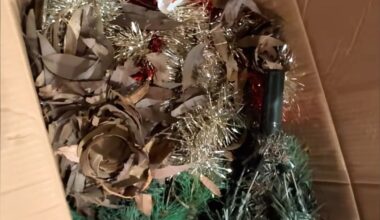 Family Opens Christmas Tree Box And Finds Nest With Rare Babies Inside