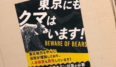 Bear necessity: Japanese governor says troops’ help was only option amid fatal attacks