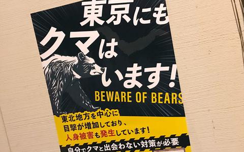 Bear necessity: Japanese governor says troops’ help was only option amid fatal attacks