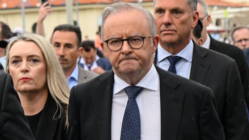 Pressure on Albanese mounts as Labor MPs join calls for royal commission