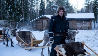 Finland’s reindeer are under threat. Is Russia’s war in Ukraine to blame?