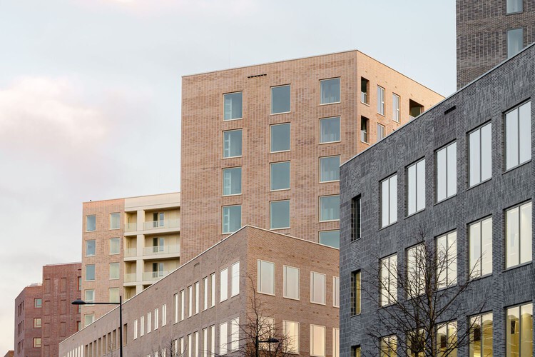 Building Optimism: Lessons from Climate Adaptation in 2025 - Image 14 of 25