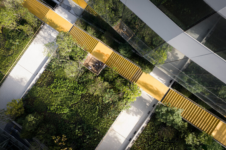 Building Optimism: Lessons from Climate Adaptation in 2025 - Image 8 of 25