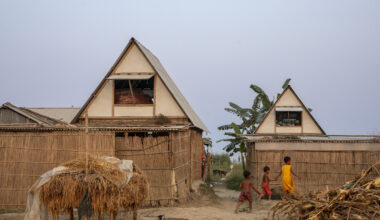 Best Articles of 2025: Plural Practices, Environmental Responses, and an Architecture of Care