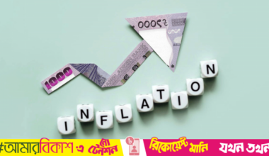 Inflation rose in Nov driven by rice, protein prices: Planning Commission report