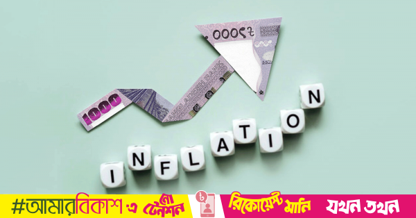 Inflation rose in Nov driven by rice, protein prices: Planning Commission report
