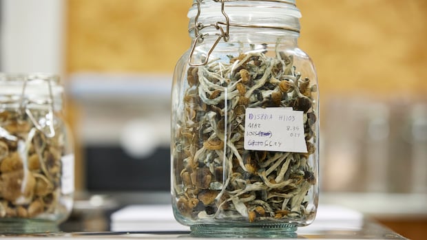 St. Joe’s launches research centre with goal of creating guidelines for medicinal psychedelics
