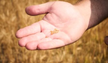 Rules around seeds in Canada getting 1st major update in 100 years