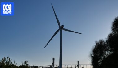 Experts say climate change bigger threat to biodiversity than renewable energy projects