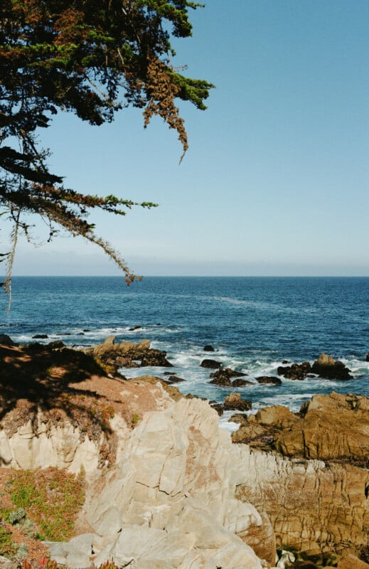 Rocky coastline with waves crashing against the shore, a few large rocks in the water, and tree branches extending from the top left corner under a clear blue sky.