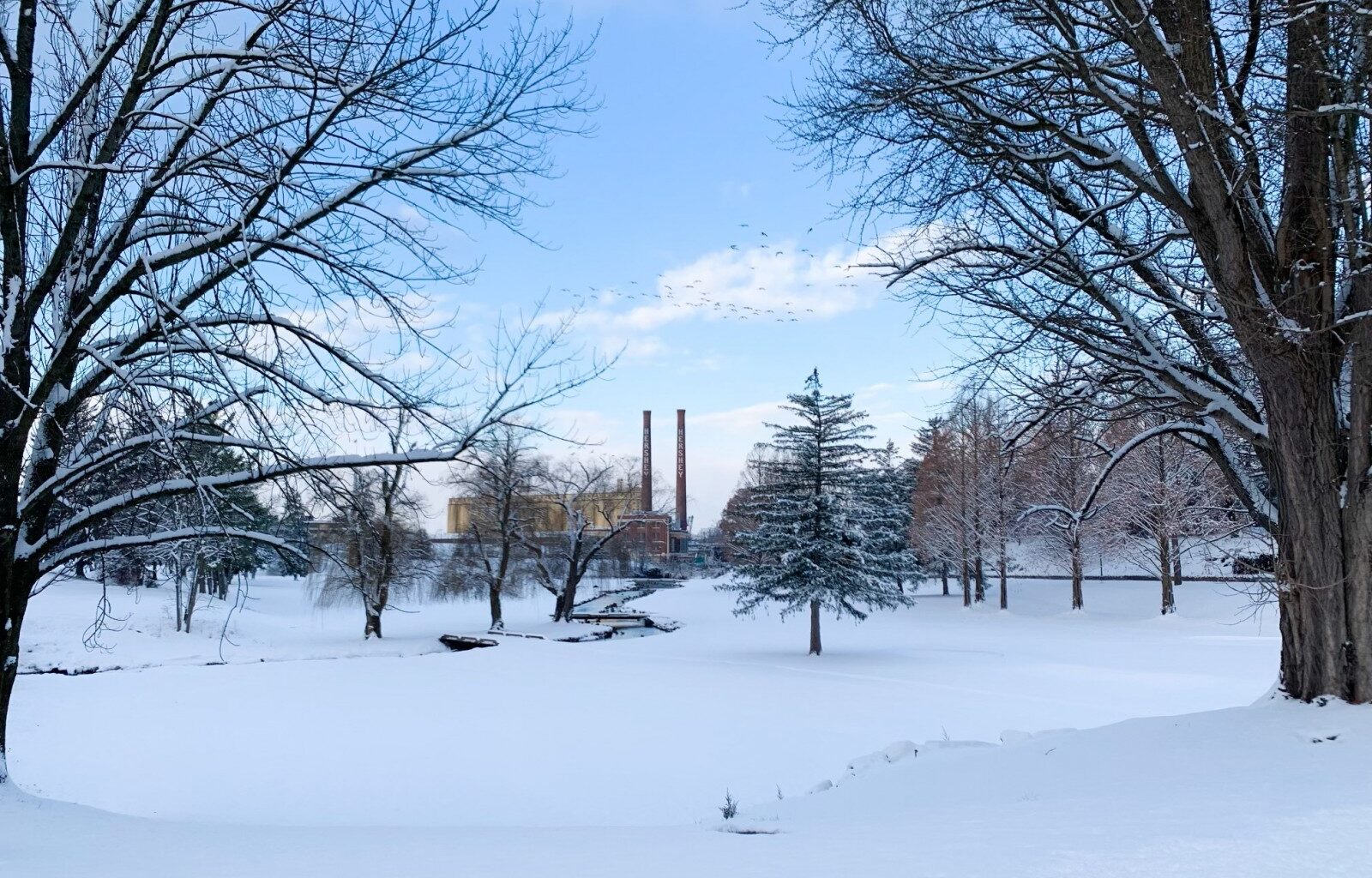 2026 Winter in Hershey, PA