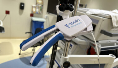 Shrink Your Stomach This New Year