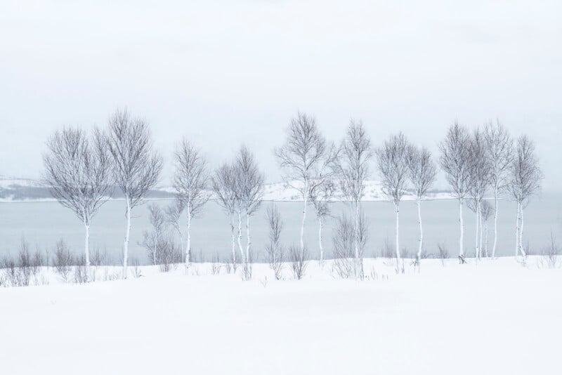 A row of leafless trees stands on snow-covered ground beside a calm, partially frozen body of water, with a snowy landscape and overcast sky in the background.