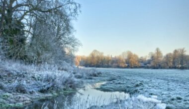 Dorset: Health alert issued as temperatures set to drop