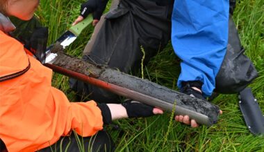 Scientists from URI examine layers of organic matter in a sediment core they collected from a salt marsh. (Photo courtesy of Sophia Wensman)