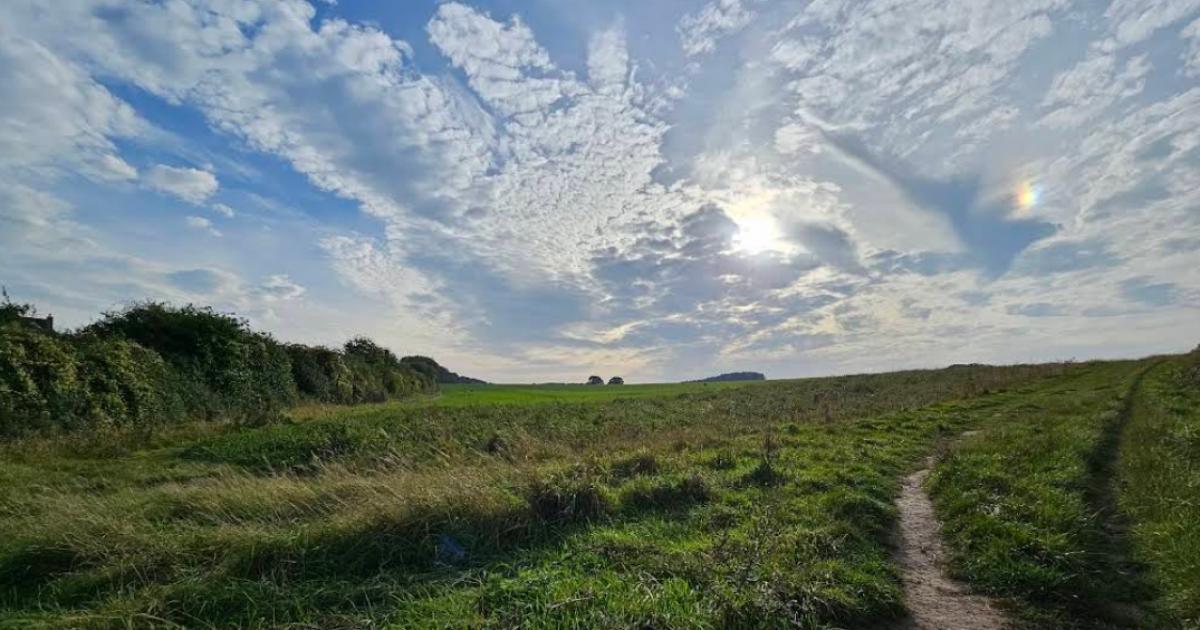 Basingstoke green space Old Down could become nature reserve