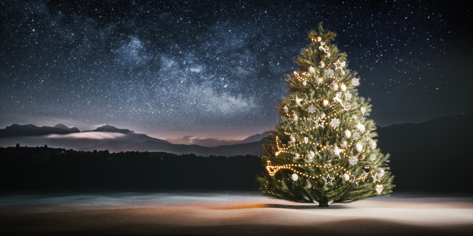 Happy holidays to all CG Channel readers!