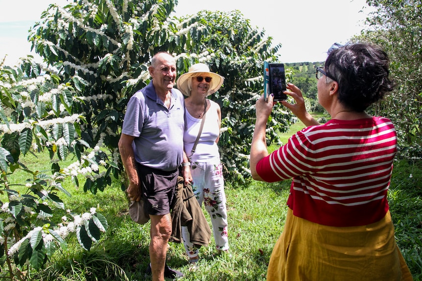 A lady takes a photo of a man and woman in front of coffee trees with white blossoms.
