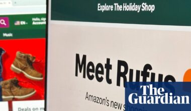 Consumer test drive: can AI do your Christmas gift shopping for you? | Shopping