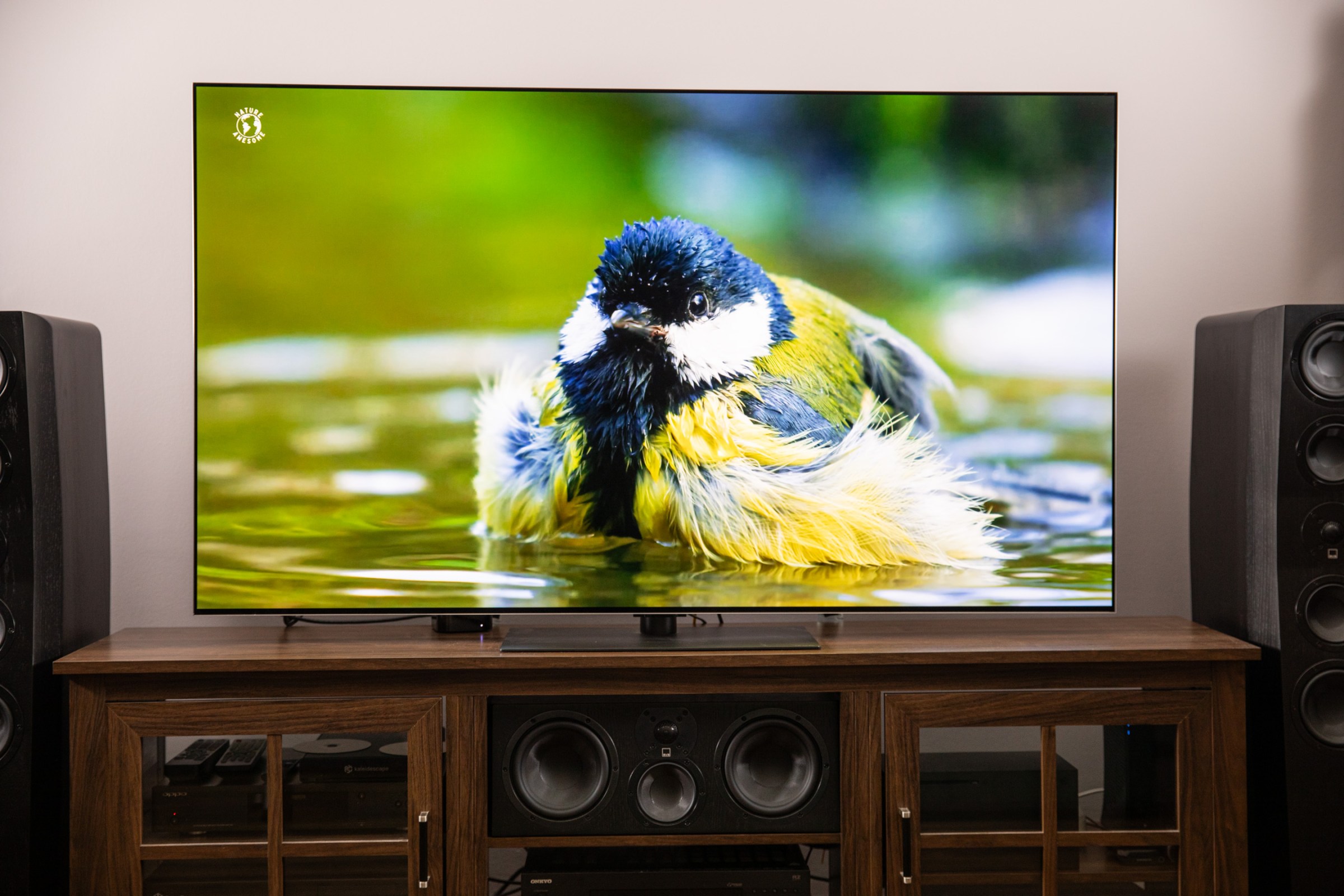 The LG G5 OLED TV on a wooden home theater credenza, displaying an image of a bird in water.
