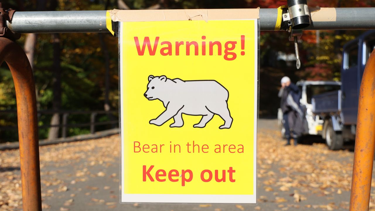 Bears Top the List in Japanese Harmful Animal Survey